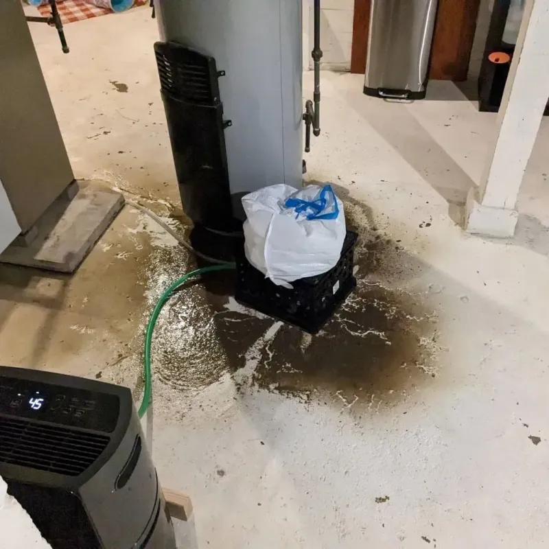 Sewage Backup Cleanup Service in Lakeview, OR